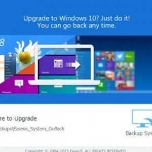 How to rollback to a previous windows version from windows 10