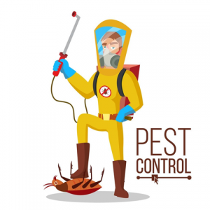 Food business owners must take pest control seriously